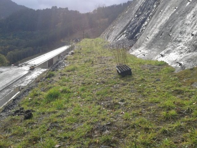 43 hidrosiembras plantaciones